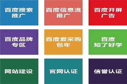 信息流广告精准投放：成功案例展示